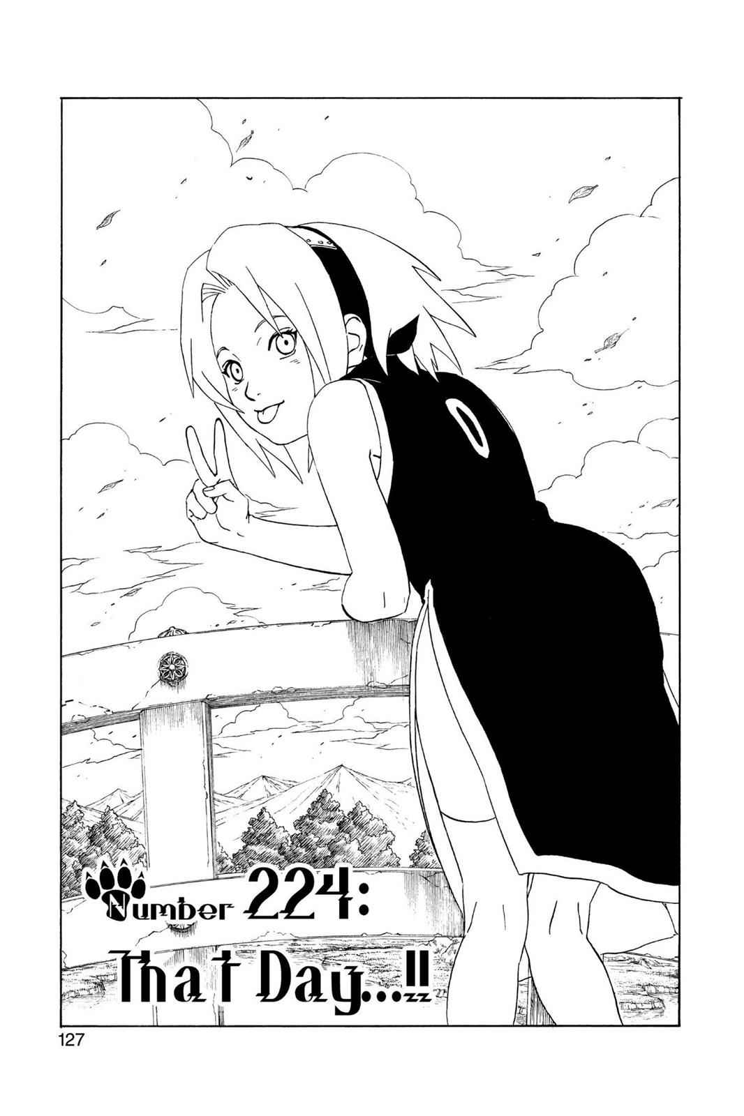 chapter224